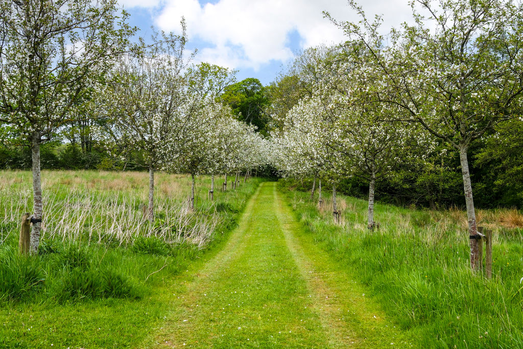 Town Lane Heskin